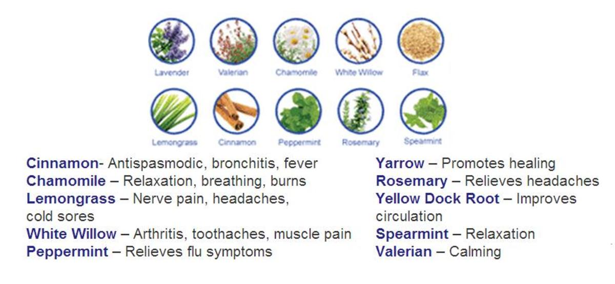 Heaven s Therapy Shoulder Herbal Pack The Warming Store